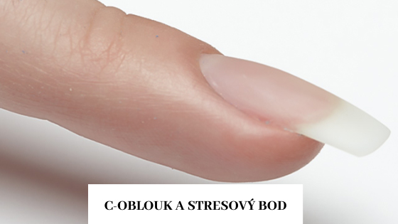 Správně vymodelovaný C oblouk nehtu - základy profesionální modeláže